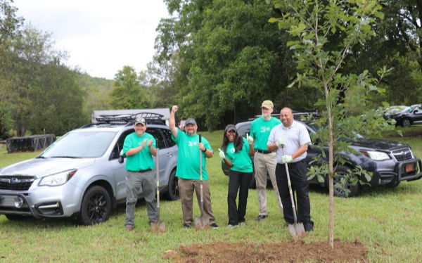 Subaru employees planting tree